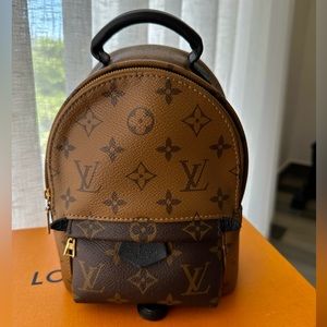 Louis Vuitton Palm Springs Mini in Reverse Monogram